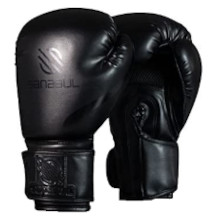 Sanabul Boxhandschuhe