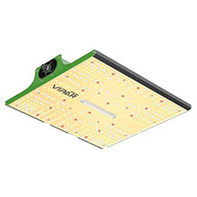 ViparSpectra P600