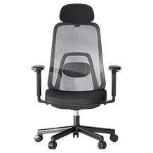 Flexispot Balanso