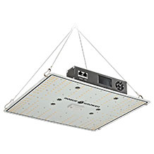 Rogue Grower Pflanzenlampe