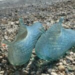Badeschuhe