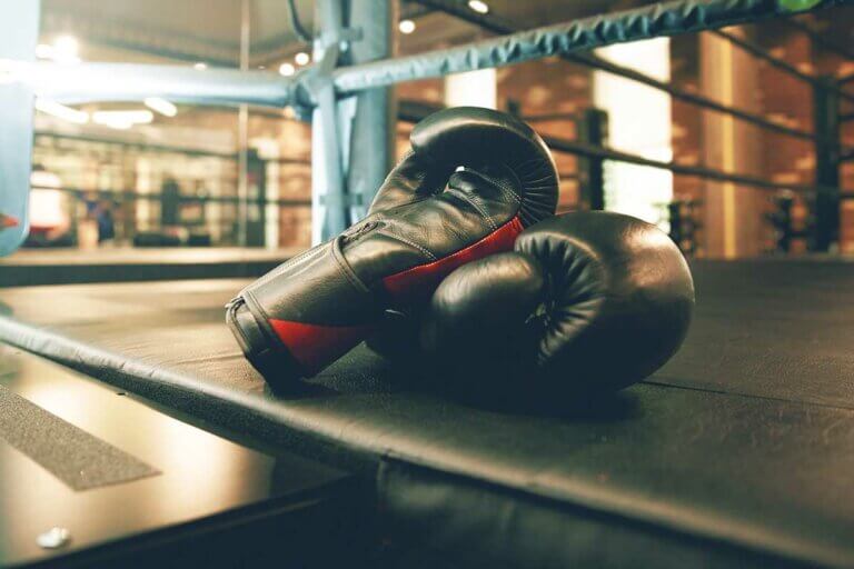 Boxhandschuhe