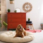 Hundebetten