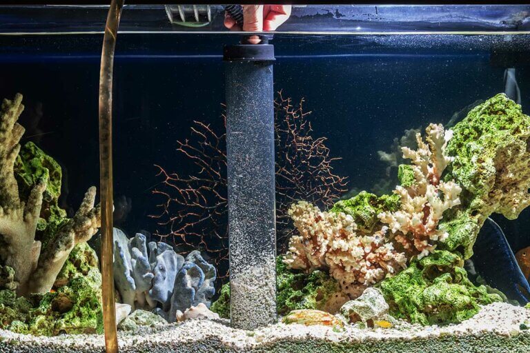 Aquarium-Bodenreiniger