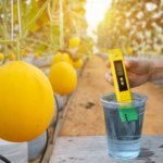 pH-Meter