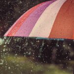 Regenschirme