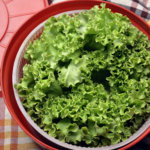 Salatschleudern